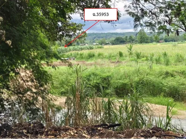 ขายทอดตลาด ที่ดินว่างเปล่า ต.ออย อ.ปง จ.พะเยา