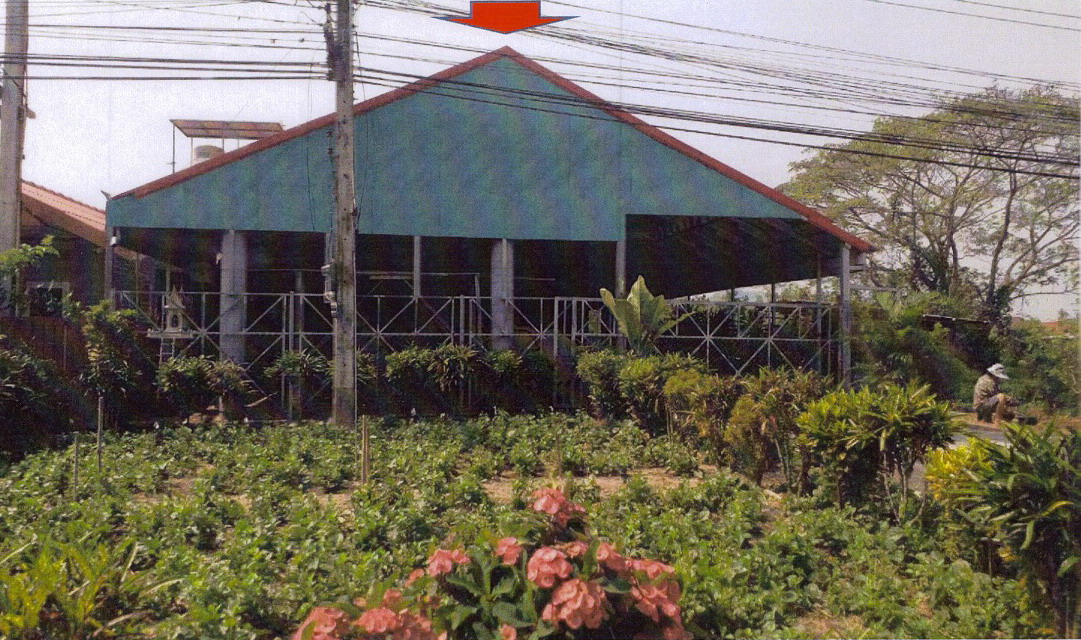 ขายทอดตลาด ที่ดินพร้อมสิ่งปลูกสร้าง ต.บ้านมาง อ.เชียงม่วน จ.พะเยา