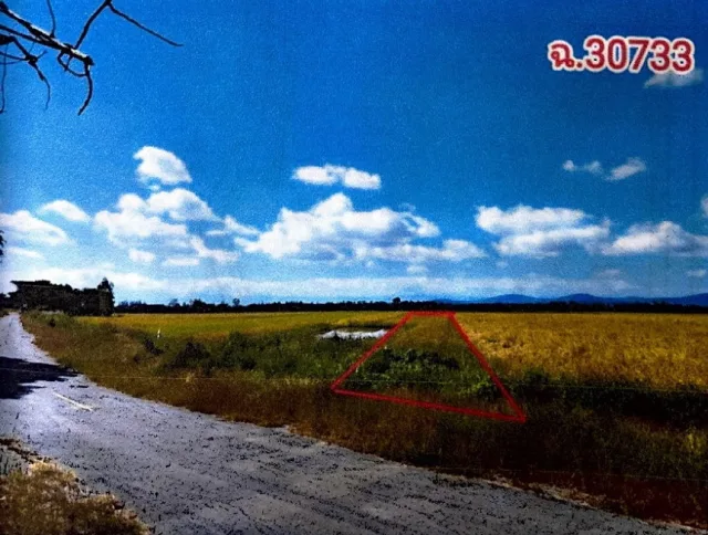 ขายทอดตลาด ที่ดินว่างเปล่า ต.ดงสุวรรณ อ.ดอกคำใต้ จ.พะเยา