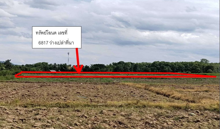 ขายทอดตลาด ที่ดินว่างเปล่า ต.ออย อ.ปง จ.พะเยา