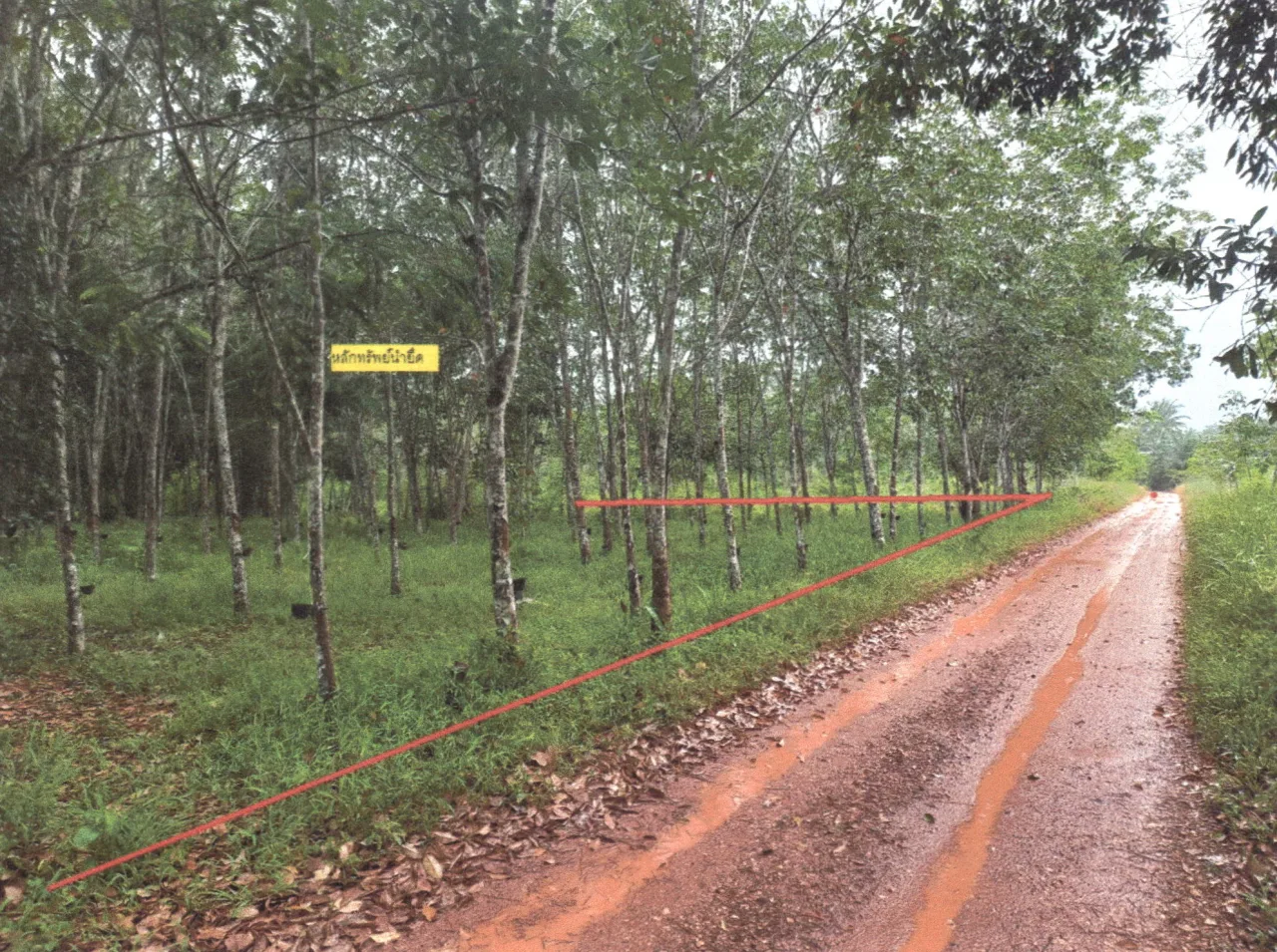 ขายทอดตลาด ที่ดินว่างเปล่า จ.สงขลา