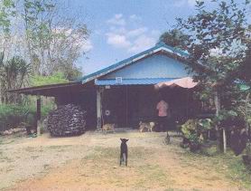 ขายทอดตลาด ที่ดินพร้อมสิ่งปลูกสร้าง ต.ย่านตาขาว อ.ย่านตาขาว จ.ตรัง