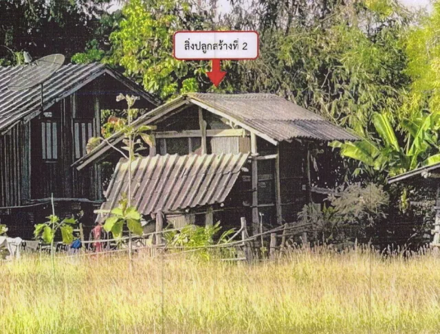 ขายทอดตลาด ที่ดินพร้อมสิ่งปลูกสร้าง ต.ห้วยแก้ว อ.ภูกามยาว จ.พะเยา