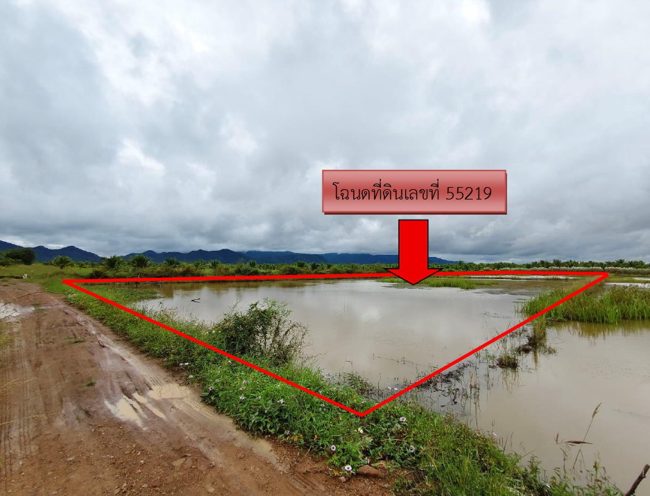ขายทอดตลาด ที่ดินว่างเปล่า ต.ห้วยลาน อ.ดอกคำใต้ จ.พะเยา