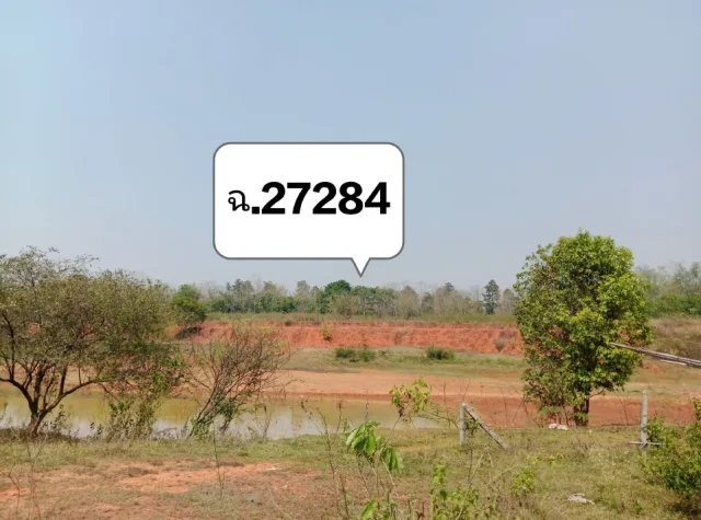 ขายทอดตลาด ที่ดินว่างเปล่า ต.บ้านเหล่า อ.แม่ใจ จ.พะเยา