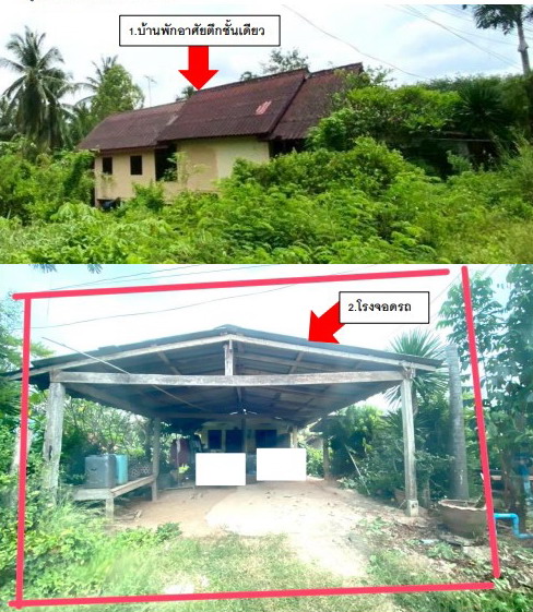 ขายทอดตลาด ที่ดินพร้อมสิ่งปลูกสร้าง ต.ท่าโพธิ์ อ.สะเดา จ.สงขลา
