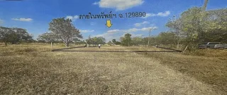รูปทรัพย์ 2