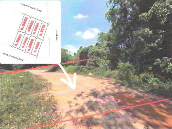 ขายทอดตลาด ที่ดินว่างเปล่า จ.สงขลา