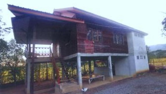 ขายทอดตลาด ที่ดินพร้อมสิ่งปลูกสร้าง ต.บ้านโตก อ.เมืองเพชรบูรณ์ จ.เพชรบูรณ์