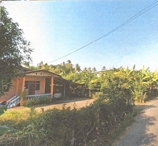 ขายทอดตลาด ที่ดินพร้อมสิ่งปลูกสร้าง ต.บ้านโตก อ.เมืองเพชรบูรณ์ จ.เพชรบูรณ์