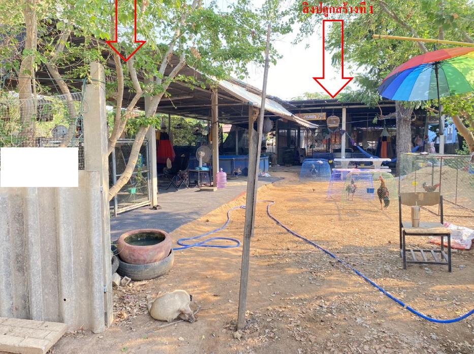 ขายทอดตลาด ที่ดินพร้อมสิ่งปลูกสร้าง ต.นาสีนวน อ.กันทรวิชัย จ.มหาสารคาม