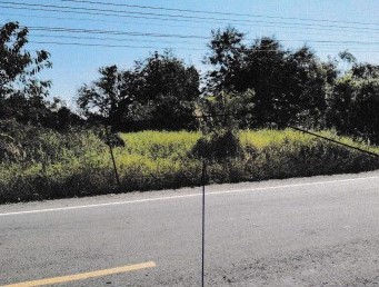 ขายทอดตลาด ที่ดินว่างเปล่า จ.เพชรบูรณ์