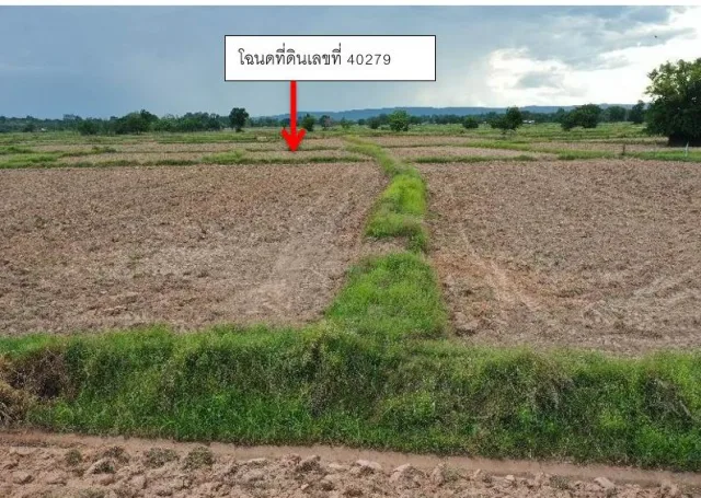 ขายทอดตลาด ที่ดินว่างเปล่า ต.กุดเค้า อ.มัญจาคีรี จ.ขอนแก่น