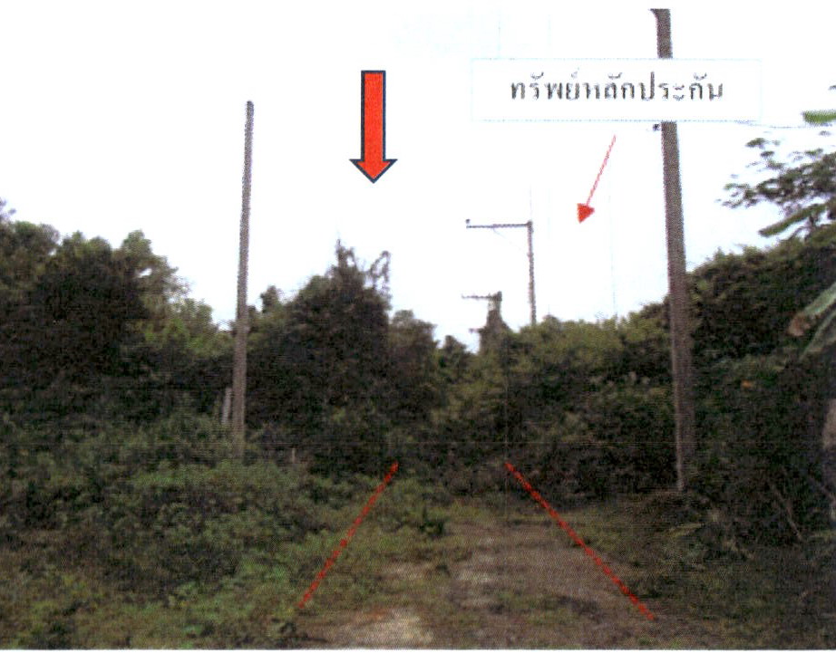 ขายทอดตลาด ที่ดินว่างเปล่า จ.สงขลา