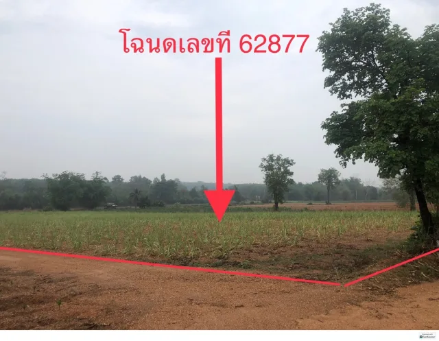 ขายทอดตลาด ที่ดินว่างเปล่า ต.บัวใหญ่ อ.น้ำพอง จ.ขอนแก่น