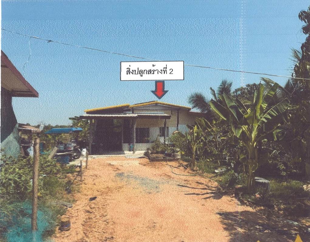 ขายทอดตลาด ที่ดินพร้อมสิ่งปลูกสร้าง ต.บ้านหว้า อ.เมืองขอนแก่น จ.ขอนแก่น
