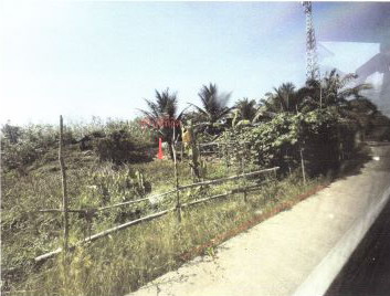 ขายทอดตลาด ที่ดินว่างเปล่า จ.สงขลา