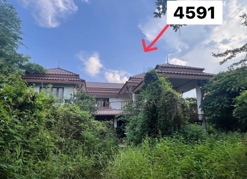 ขายทอดตลาด ที่ดินพร้อมสิ่งปลูกสร้าง ต.ท้ายดง อ.วังโป่ง จ.เพชรบูรณ์
