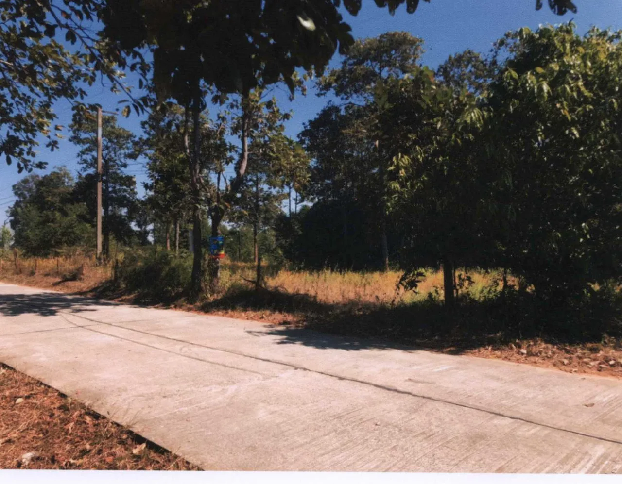 ขายทอดตลาด ที่ดินว่างเปล่า จ.มหาสารคาม