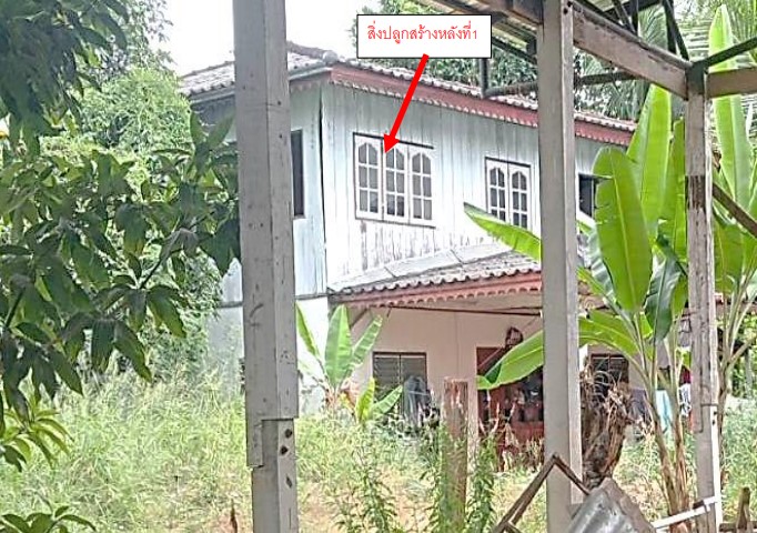 ขายทอดตลาด ที่ดินพร้อมสิ่งปลูกสร้าง ต.ในเมือง อ.เมืองเพชรบูรณ์ จ.เพชรบูรณ์