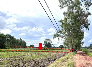 รูปทรัพย์ 2