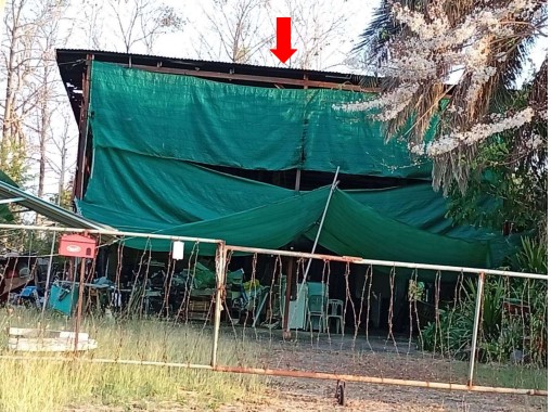 ขายทอดตลาด ที่ดินพร้อมสิ่งปลูกสร้าง ต.ท่าข้าม อ.ชนแดน จ.เพชรบูรณ์