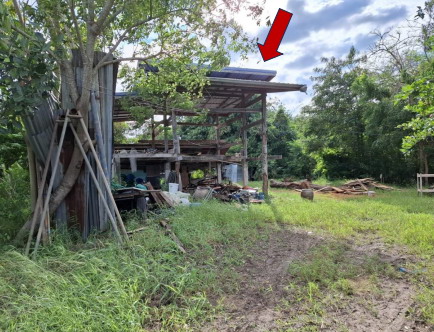 ขายทอดตลาด ที่ดินพร้อมสิ่งปลูกสร้าง ต.นางั่ว อ.เมืองเพชรบูรณ์ จ.เพชรบูรณ์