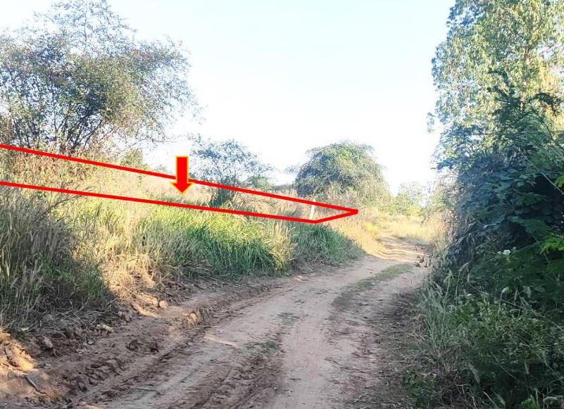 ขายทอดตลาด ที่ดินว่างเปล่า ต.หนองโน อ.กระนวน จ.ขอนแก่น