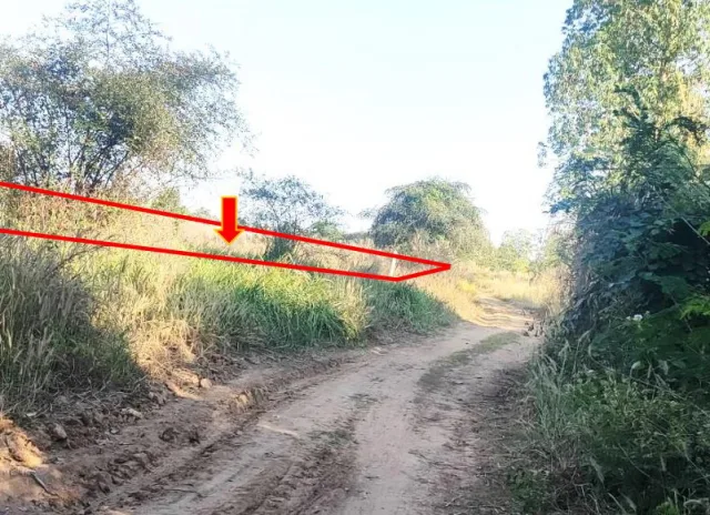ขายทอดตลาด ที่ดินว่างเปล่า ต.หนองโน อ.กระนวน จ.ขอนแก่น