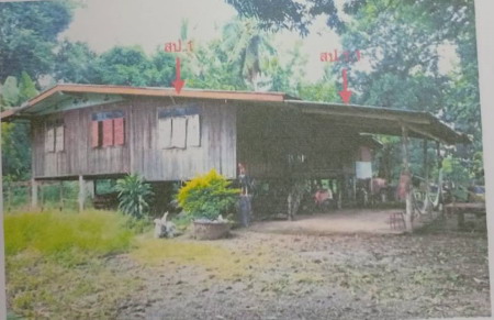 ขายทอดตลาด ที่ดินพร้อมสิ่งปลูกสร้าง ต.นายม อ.เมืองเพชรบูรณ์ จ.เพชรบูรณ์