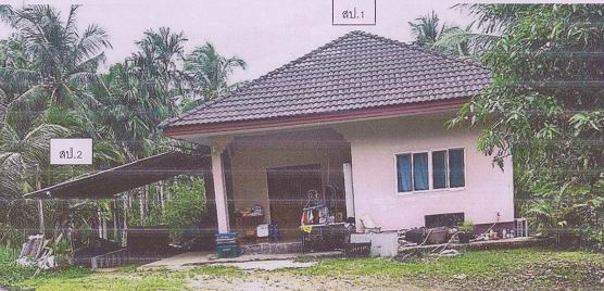 ขายทอดตลาด ที่ดินพร้อมสิ่งปลูกสร้าง ต.ทุ่งคา อ.เมืองชุมพร จ.ชุมพร