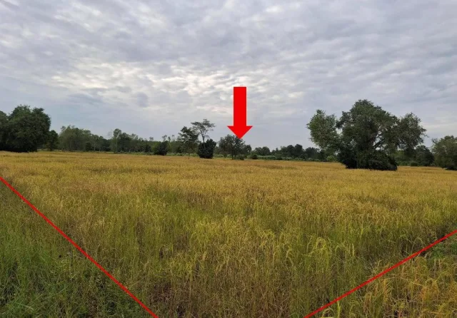 ขายทอดตลาด ที่ดินว่างเปล่า ต.โนนท่อน อ.เมืองขอนแก่น จ.ขอนแก่น