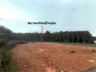 รูปทรัพย์ 2