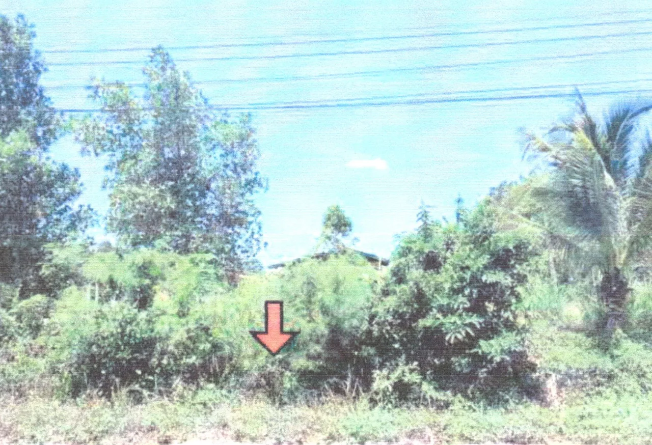 ขายทอดตลาด ที่ดินว่างเปล่า จ.สงขลา