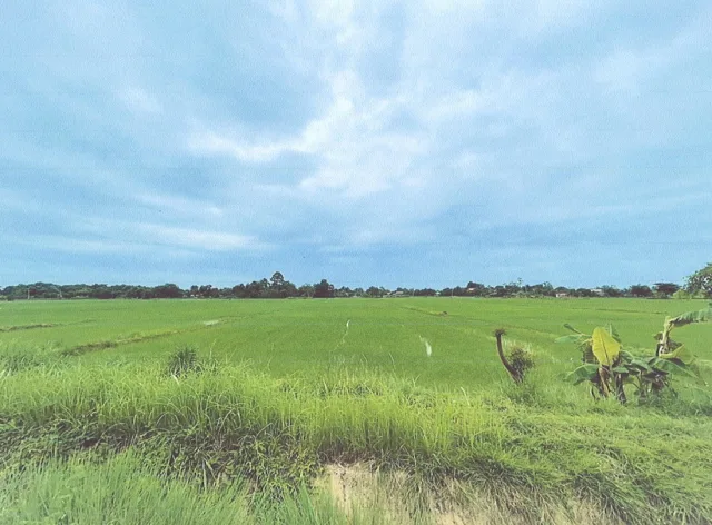 ขายทอดตลาด ที่ดินว่างเปล่า ต.หนองตูม อ.เมืองขอนแก่น จ.ขอนแก่น