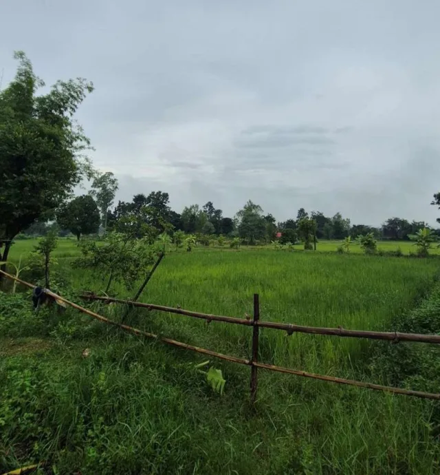 ขายทอดตลาด ที่ดินว่างเปล่า ต.ท่าพระ อ.เมืองขอนแก่น จ.ขอนแก่น