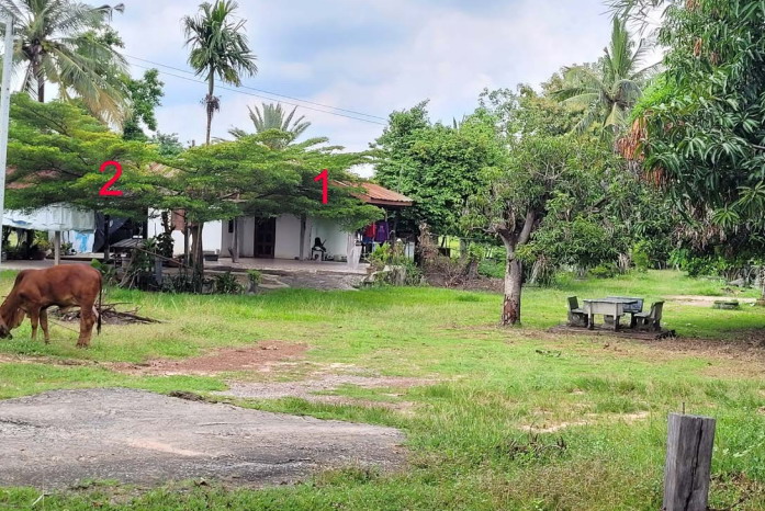 ขายทอดตลาด ที่ดินพร้อมสิ่งปลูกสร้าง ต.หนองจิก อ.บรบือ จ.มหาสารคาม
