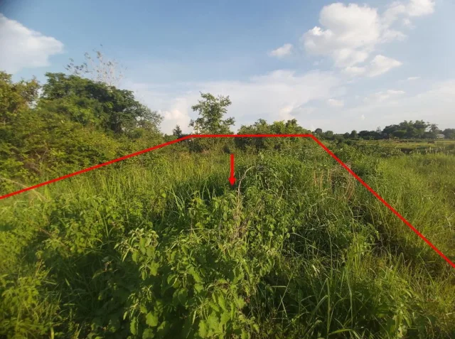 ขายทอดตลาด ที่ดินว่างเปล่า ต.สำราญ อ.เมืองขอนแก่น จ.ขอนแก่น