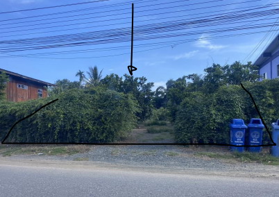ขายทอดตลาด ที่ดินว่างเปล่า จ.เพชรบูรณ์