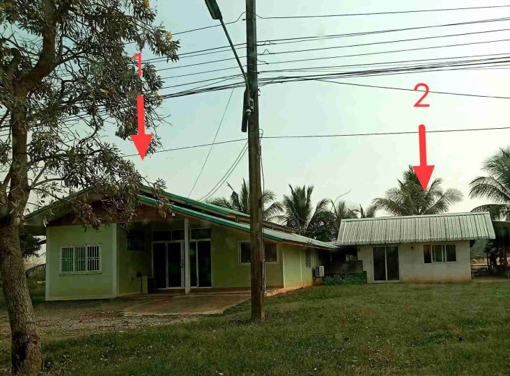ขายทอดตลาด ที่ดินพร้อมสิ่งปลูกสร้าง ต.นายม อ.เมืองเพชรบูรณ์ จ.เพชรบูรณ์