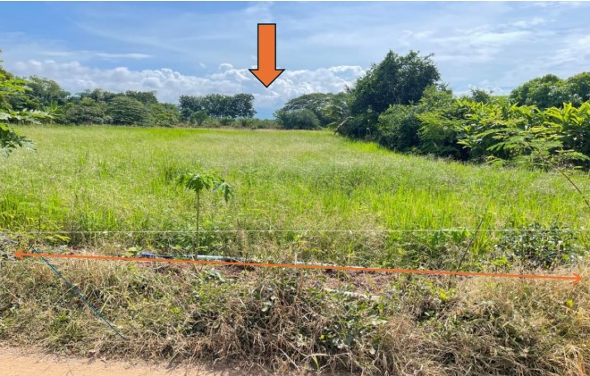 ขายทอดตลาด ที่ดินว่างเปล่า จ.เพชรบูรณ์