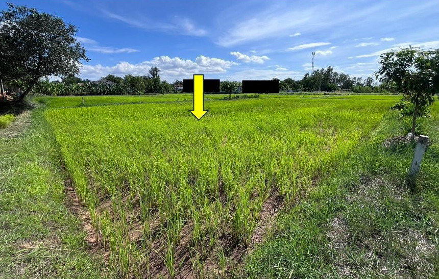 ขายทอดตลาด ที่ดินว่างเปล่า ต.แดงใหญ่ อ.เมืองขอนแก่น จ.ขอนแก่น