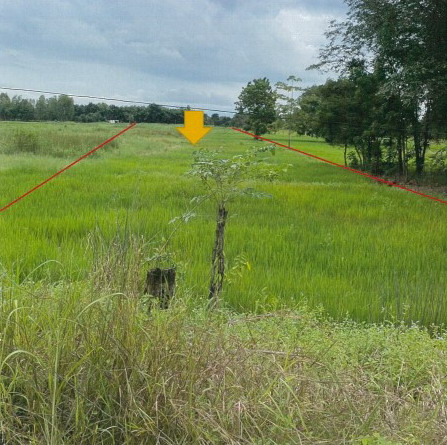 ขายทอดตลาด ที่ดินว่างเปล่า จ.เพชรบูรณ์