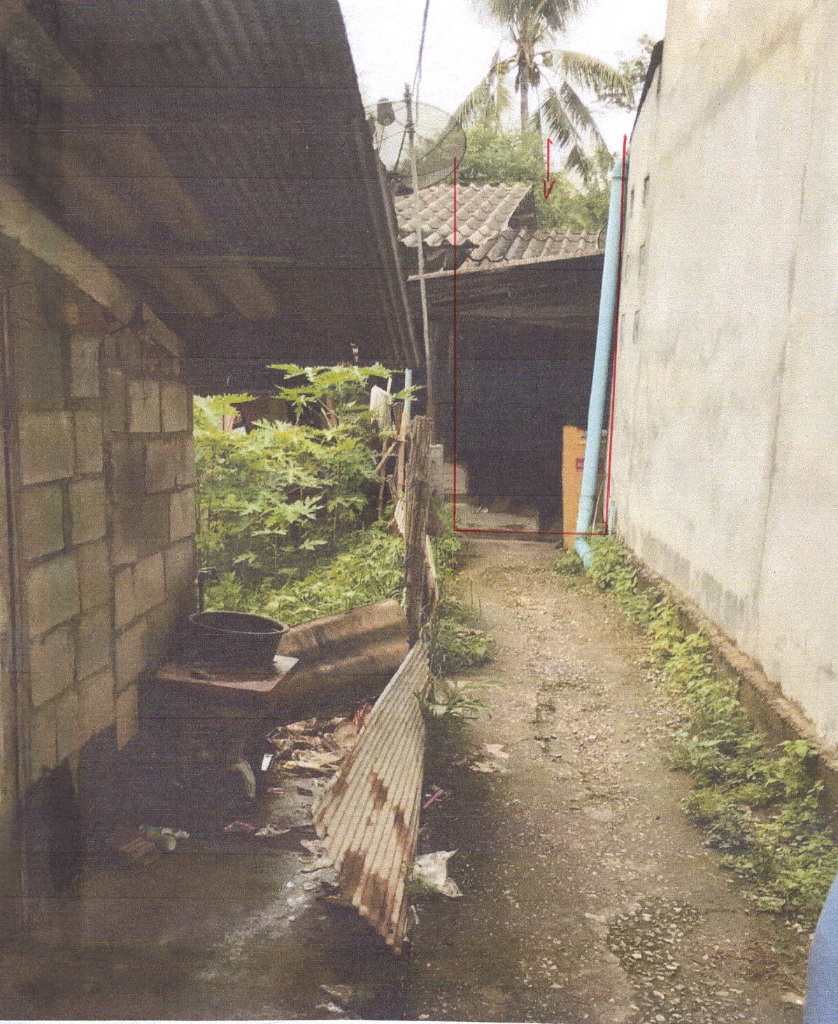 ขายทอดตลาด ที่ดินพร้อมสิ่งปลูกสร้าง ต.โคกหล่อ อ.เมืองตรัง จ.ตรัง