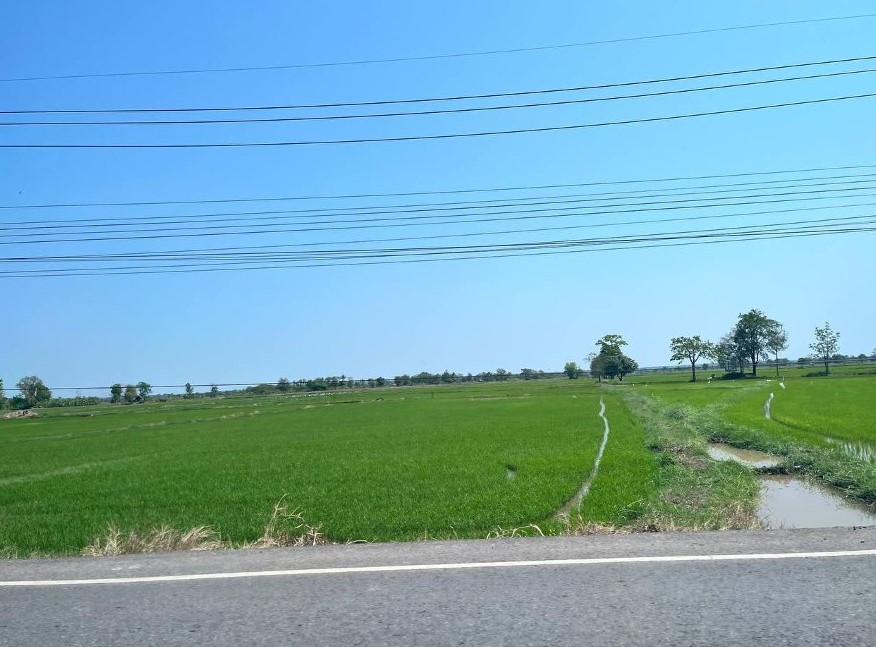 ขายทอดตลาด ที่ดินว่างเปล่า ต.ท่ากระเสริม อ.น้ำพอง จ.ขอนแก่น