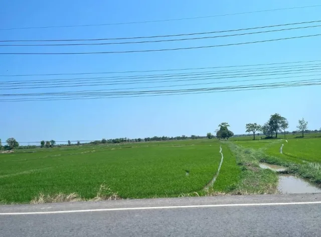ขายทอดตลาด ที่ดินว่างเปล่า ต.ท่ากระเสริม อ.น้ำพอง จ.ขอนแก่น