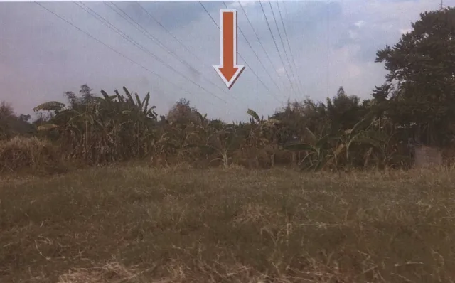 ขายทอดตลาด ที่ดินว่างเปล่า ต.ท่าพระ อ.เมืองขอนแก่น จ.ขอนแก่น