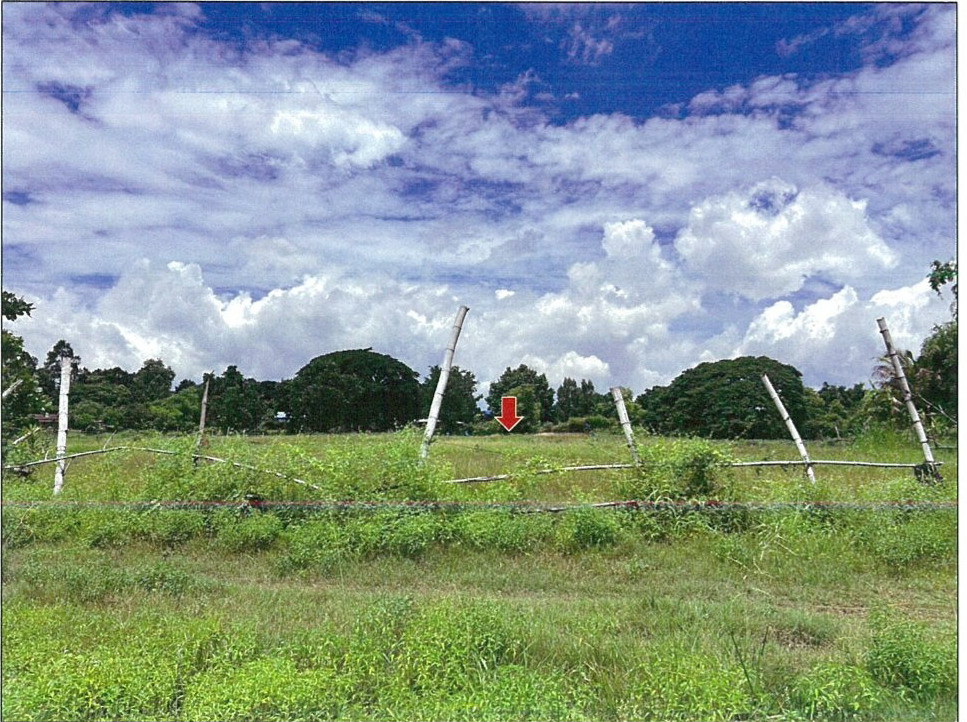 ขายทอดตลาด ที่ดินว่างเปล่า ต.สวนหม่อน อ.มัญจาคีรี จ.ขอนแก่น