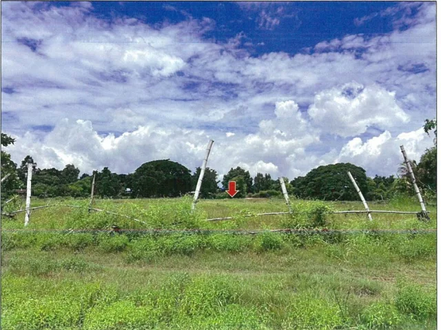 ขายทอดตลาด ที่ดินว่างเปล่า ต.สวนหม่อน อ.มัญจาคีรี จ.ขอนแก่น