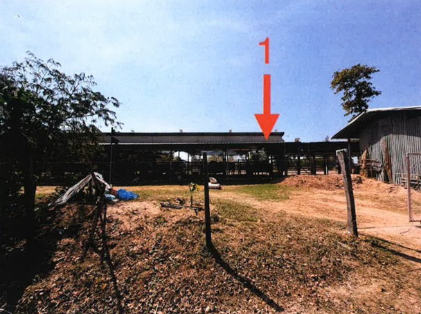 ขายทอดตลาด ที่ดินพร้อมสิ่งปลูกสร้าง ต.หนองบอน อ.โกสุมพิสัย จ.มหาสารคาม